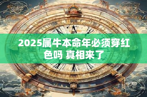 2025属牛本命年必须穿红色吗 真相来了