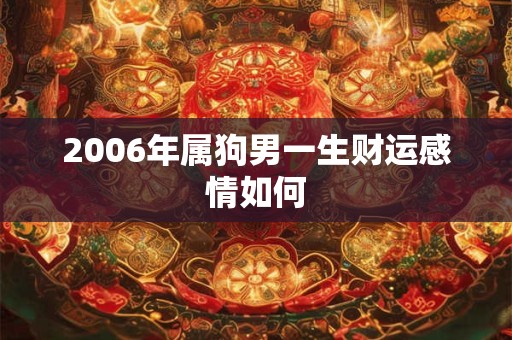 2006年属狗男一生财运感情如何 2006年属狗男一生财运感情如何