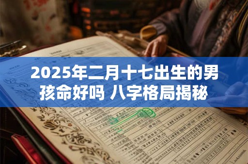 2025年二月十七出生的男孩命好吗 八字格局揭秘