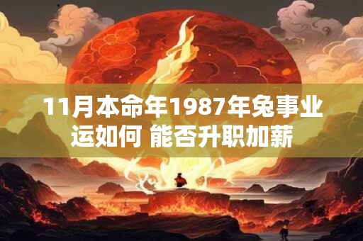 11月本命年1987年兔事业运如何 能否升职加薪