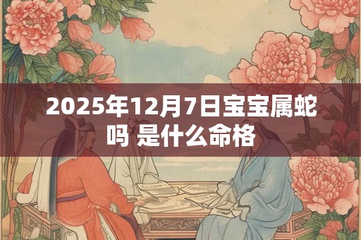 2025年12月7日宝宝属蛇吗 是什么命格