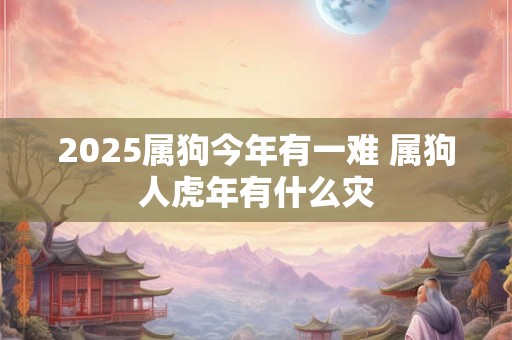 2025属狗今年有一难 属狗人虎年有什么灾