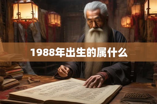 1988年出生的属什么