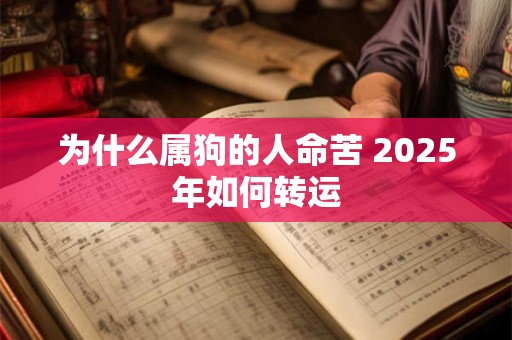 为什么属狗的人命苦 2025年如何转运 为什么属狗的人命苦 2025年如何转运