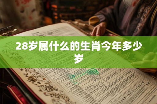 28岁属什么的生肖今年多少岁