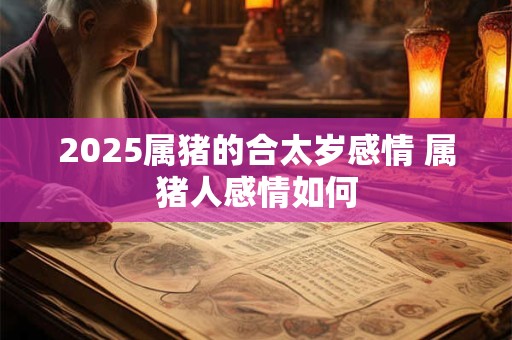 2025属猪的合太岁感情 属猪人感情如何