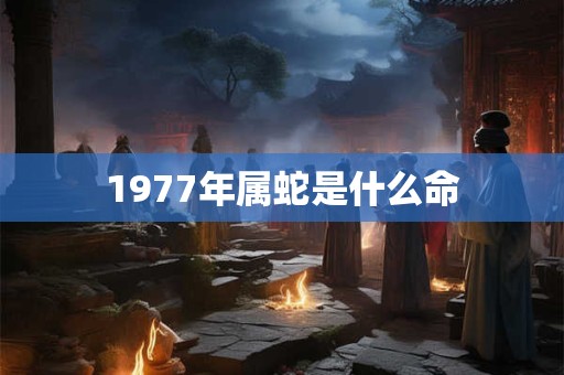 1977年属蛇是什么命