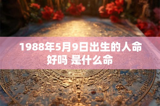 1988年5月9日出生的人命好吗 是什么命