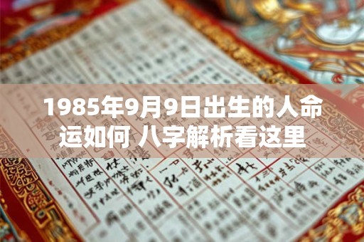 1985年9月9日出生的人命运如何 八字解析看这里