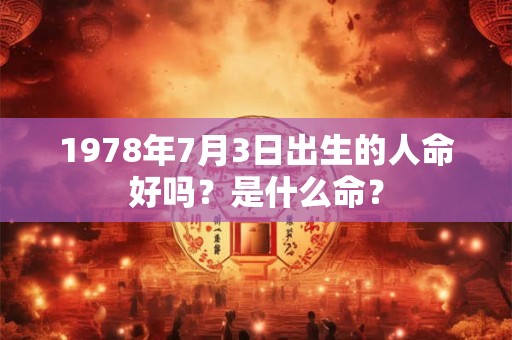 1978年7月3日出生的人命好吗？是什么命？
