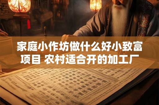家庭小作坊做什么好小致富项目 农村适合开的加工厂