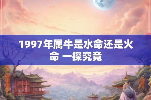 1997年属牛是水命还是火命 一探究竟