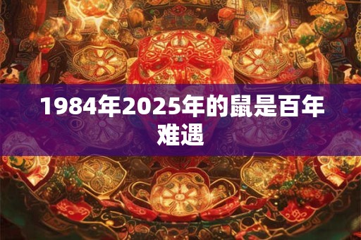 1984年2025年的鼠是百年难遇