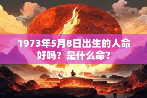 1973年5月8日出生的人命好吗？是什么命？