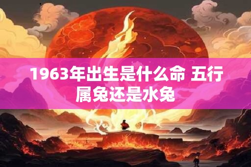 1963年出生是什么命 五行属兔还是水兔