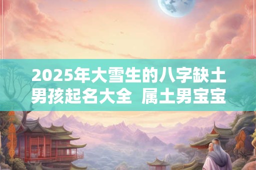 2025年大雪生的八字缺土男孩起名大全  属土男宝宝名字最新