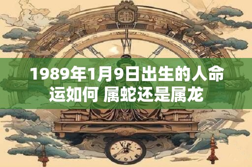 1989年1月9日出生的人命运如何 属蛇还是属龙