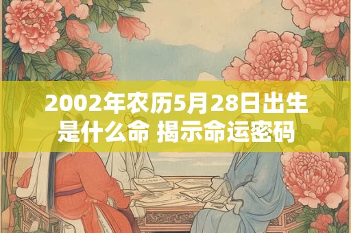 2002年农历5月28日出生是什么命 揭示命运密码