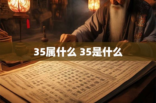 35属什么 35是什么