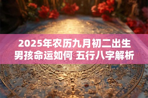 2025年农历九月初二出生男孩命运如何 五行八字解析