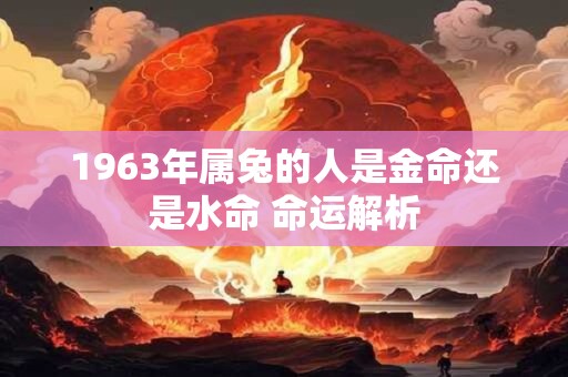 1963年属兔的人是金命还是水命 命运解析
