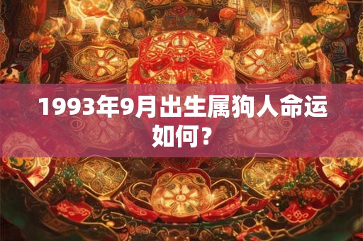 1993年9月出生属狗人命运如何？