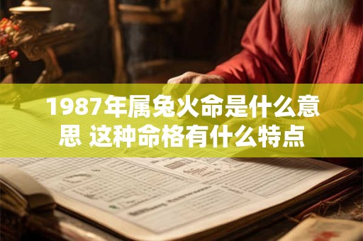 1987年属兔火命是什么意思 这种命格有什么特点