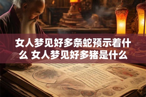 女人梦见好多条蛇预示着什么 女人梦见好多猪是什么预兆 女人梦见好多条蛇预示着什么 女人梦见好多猪是什么预兆