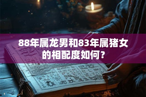 88年属龙男和83年属猪女的相配度如何？