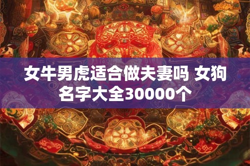 女牛男虎适合做夫妻吗 女狗名字大全30000个