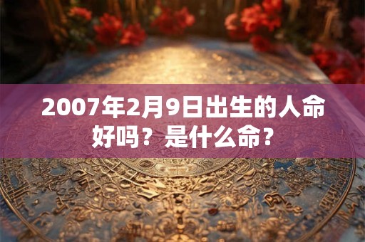 2007年2月9日出生的人命好吗？是什么命？