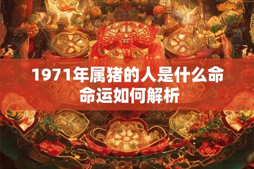 1971年属猪的人是什么命 命运如何解析