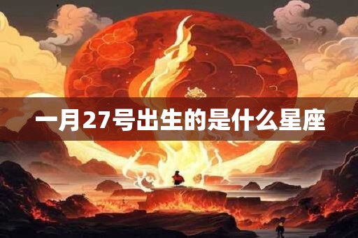 一月27号出生的是什么星座