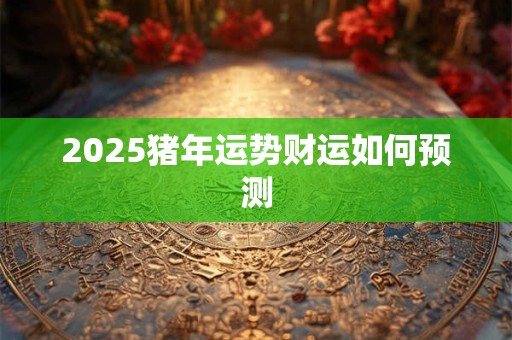 2025猪年运势财运如何预测