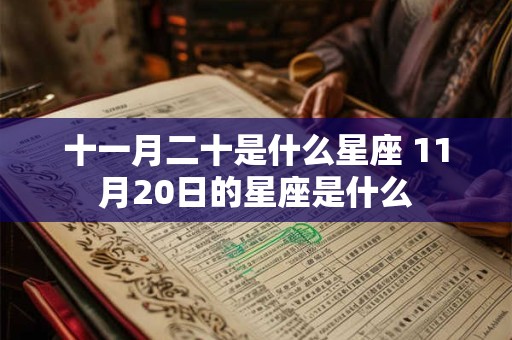 十一月二十是什么星座 11月20日的星座是什么