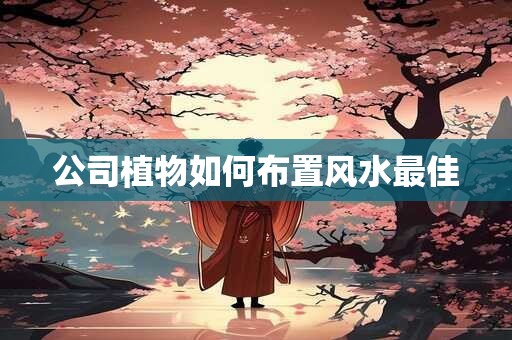 公司植物如何布置风水最佳