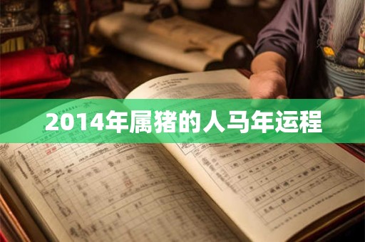 2014年属猪的人马年运程