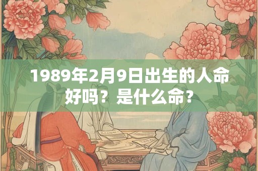 1989年2月9日出生的人命好吗？是什么命？