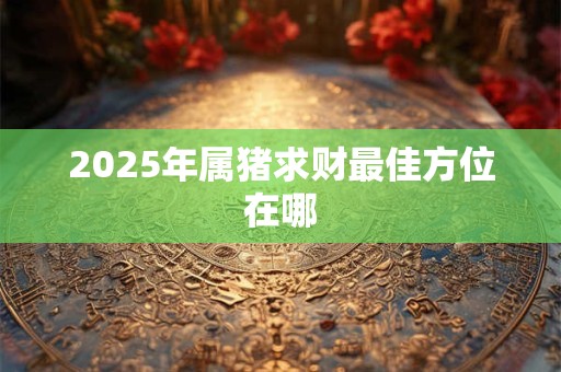 2025年属猪求财最佳方位在哪