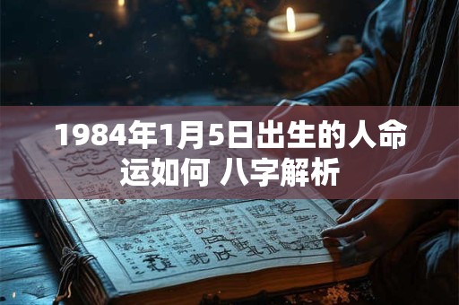 1984年1月5日出生的人命运如何 八字解析