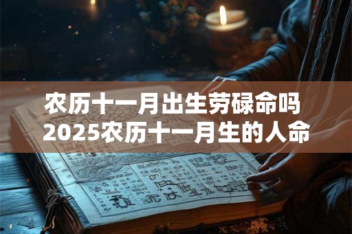 农历十一月出生劳碌命吗 2025农历十一月生的人命运如何