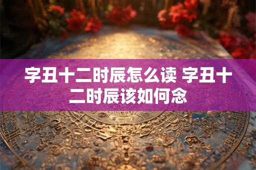 字丑十二时辰怎么读 字丑十二时辰该如何念