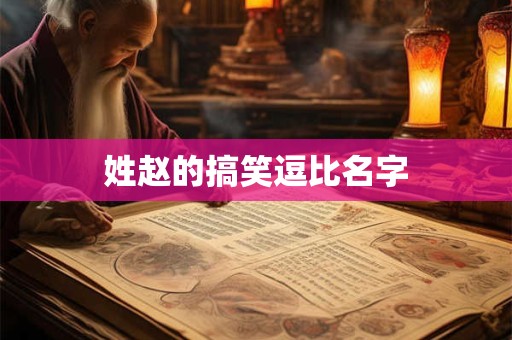 姓赵的搞笑逗比名字