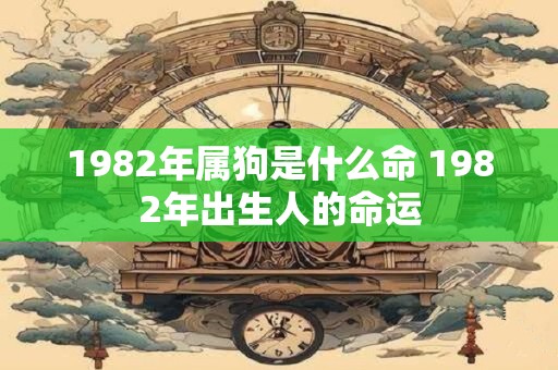 1982年属狗是什么命 1982年出生人的命运