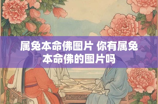 属兔本命佛图片 你有属兔本命佛的图片吗