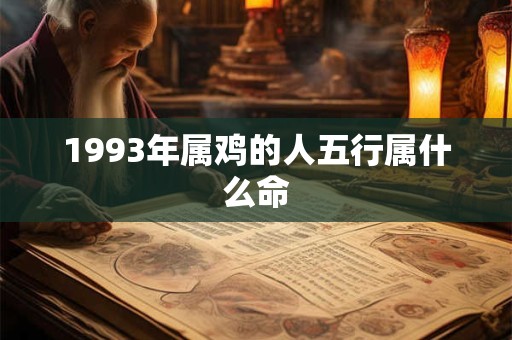 1993年属鸡的人五行属什么命