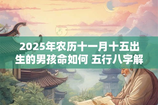 2025年农历十一月十五出生的男孩命如何 五行八字解析