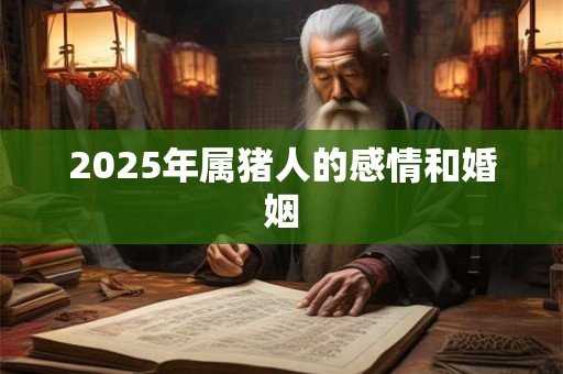2025年属猪人的感情和婚姻