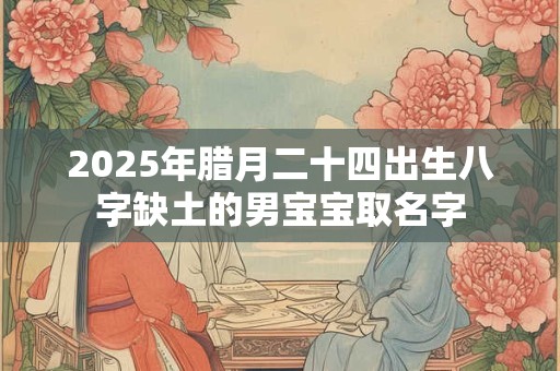 2025年腊月二十四出生八字缺土的男宝宝取名字
