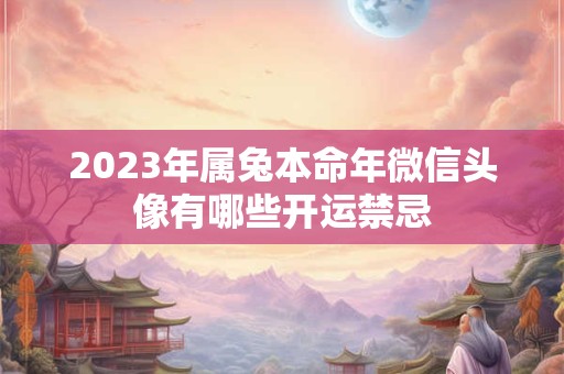 2023年属兔本命年微信头像有哪些开运禁忌